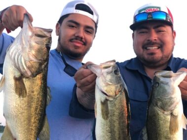 Bass fishing Lake Hartwell