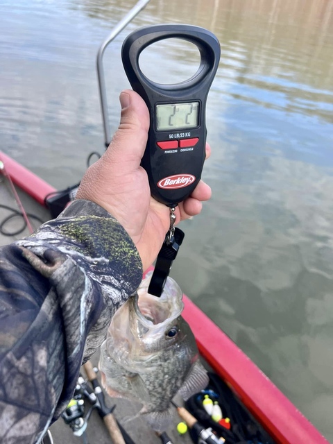 Lake Hartwell Crappie fishing