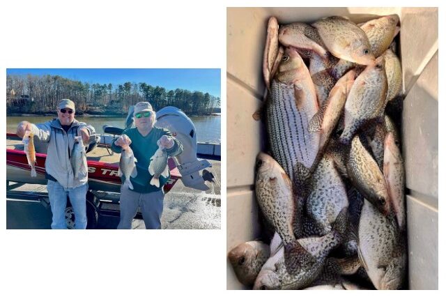 Lake Hartwell Crappie fishing