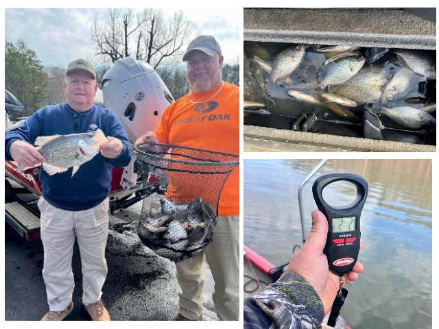 Lake Hartwell Crappie fishing