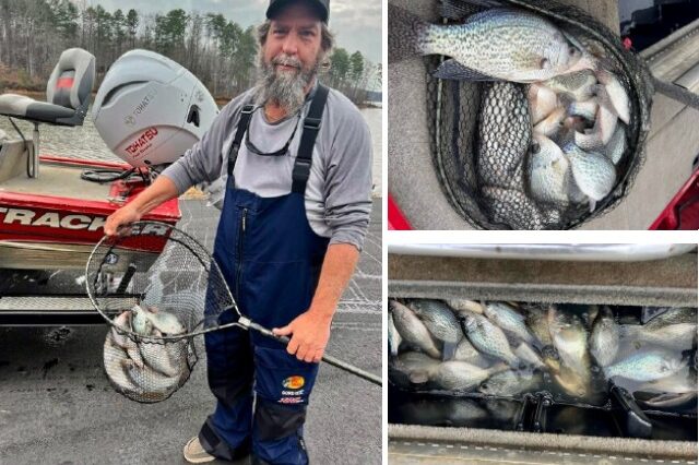 Lake Hartwell Crappie fishing