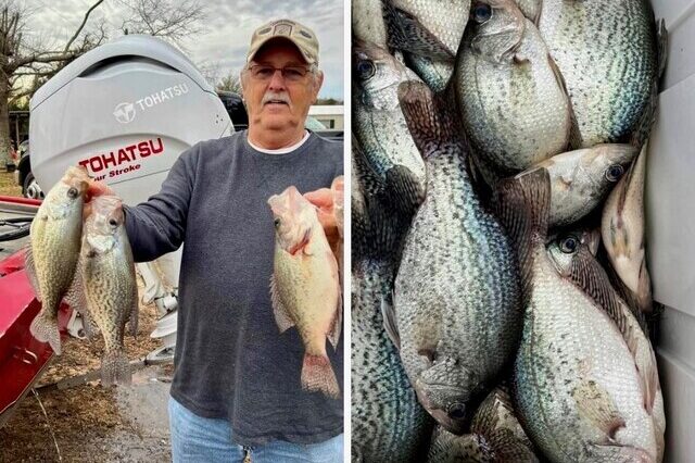 Lake Hartwell Crappie fishing