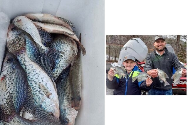Lake Hartwell Crappie fishing