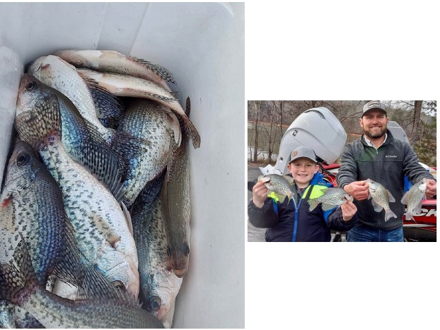 Lake Hartwell Crappie fishing