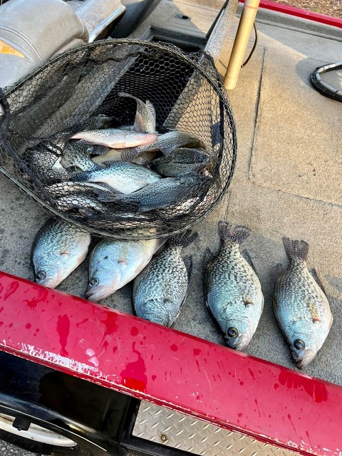 Lake Hartwell Crappie fishing