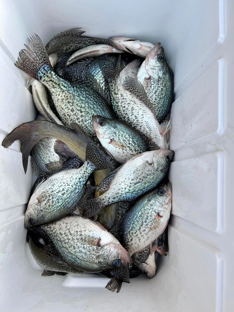 Lake Hartwell Crappie fishing