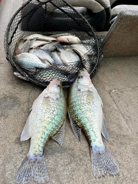 Lake Hartwell Crappie fishing F