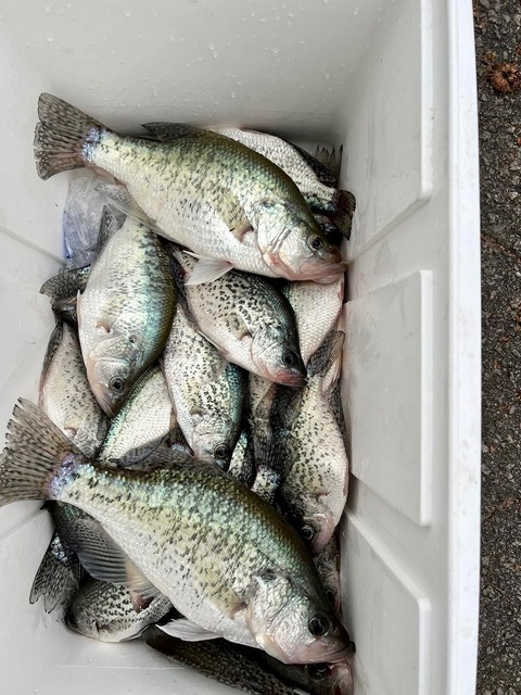 Lake Hartwell Crappie fishing F