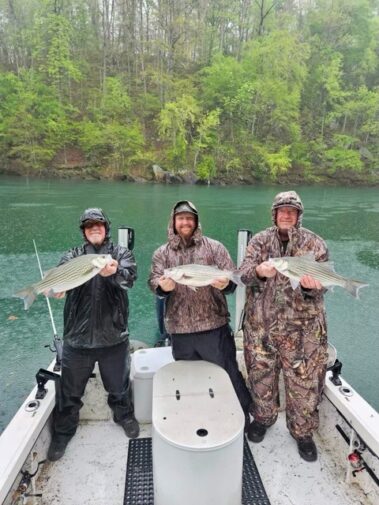 Lake Hartwell fishing
