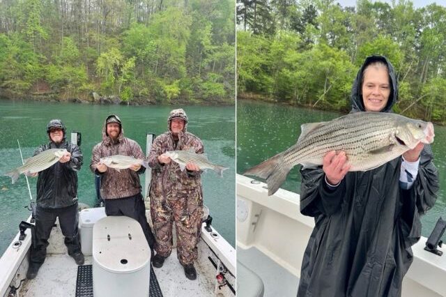 Lake Hartwell fishing