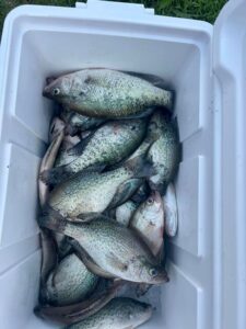 Lake Hartwell Crappie fishing