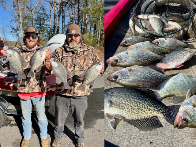 Lake Hartwell Crappie fishing