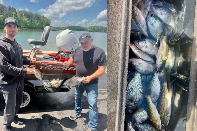 Lake Hartwell Crappie fishing