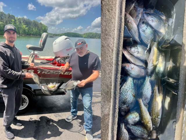 Lake Hartwell Crappie fishing