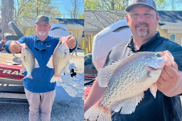 Lake Hartwell Crappie fishing