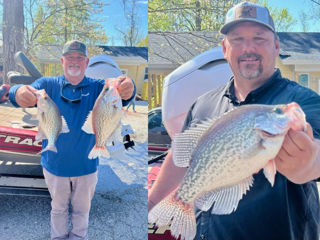 Lake Hartwell Crappie fishing