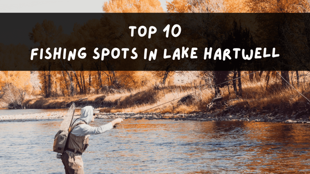 Fishing Spots in Lake Hartwel