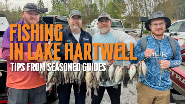 Lake-Hartwell-fishing