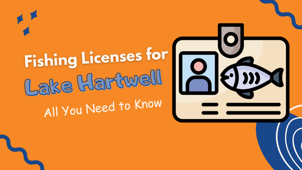 Fishing Licenses for Lake Hartwell All You Need to Know