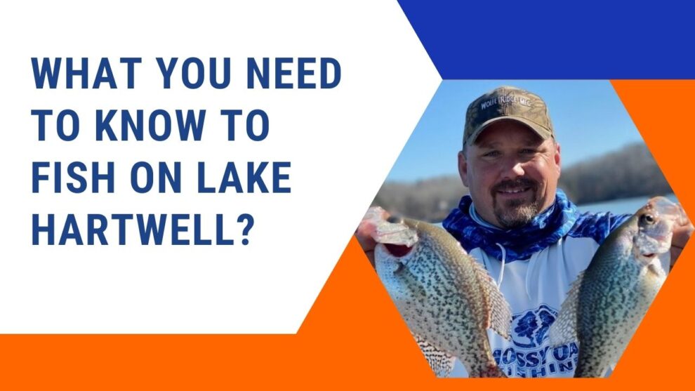 What you need to know to fish on Lake Hartwell