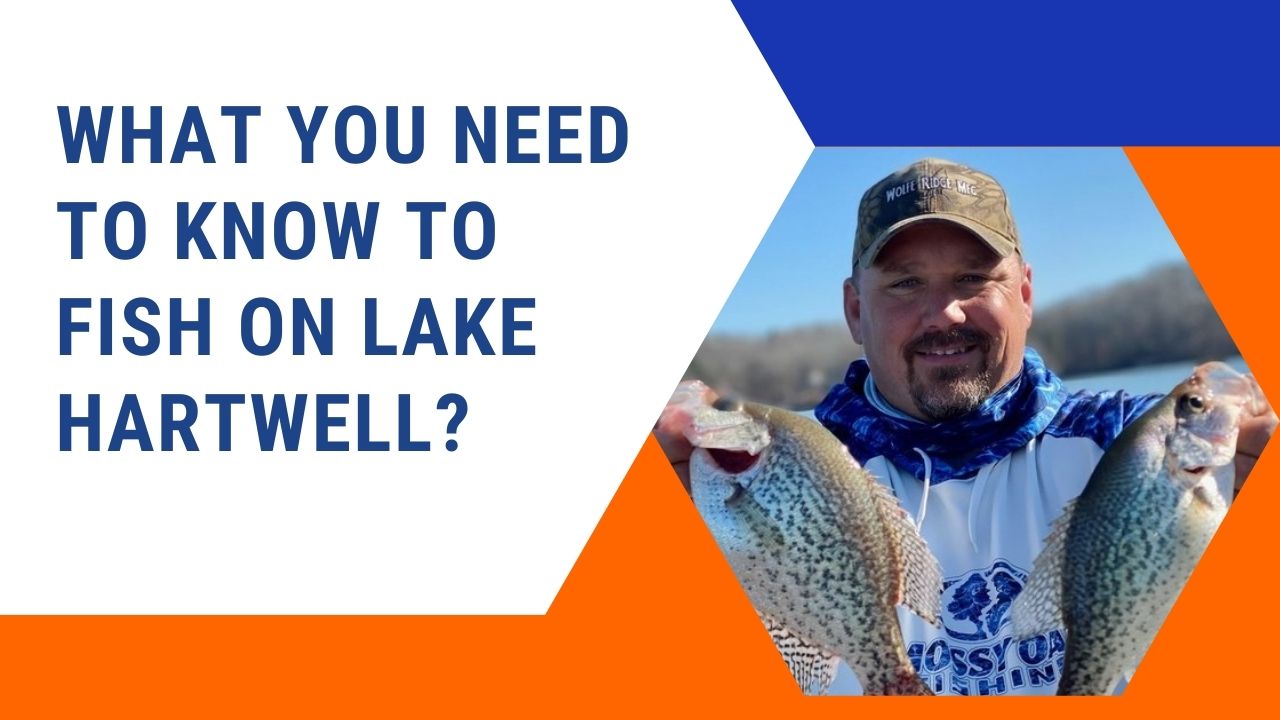 What you need to know to fish on Lake Hartwell