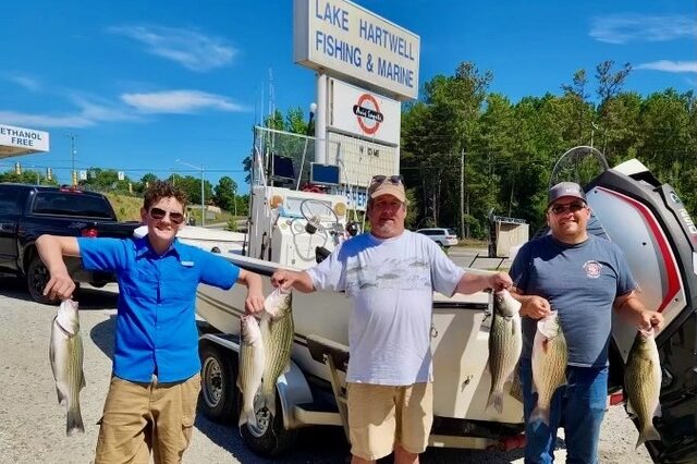 Lake Hartwell fishing