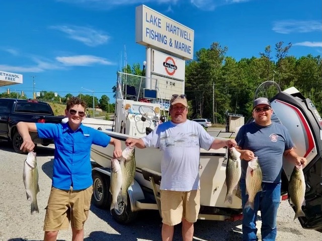 Lake Hartwell fishing