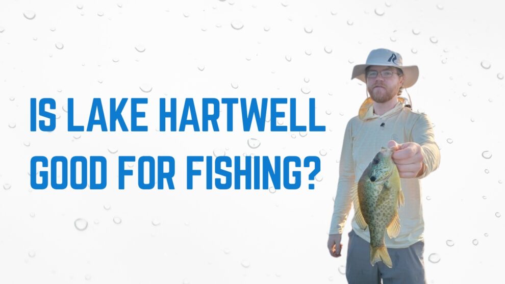 Is Lake Hartwell good for fishing