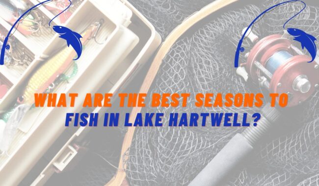The Best Seasons to Fish in Lake Hartwell
