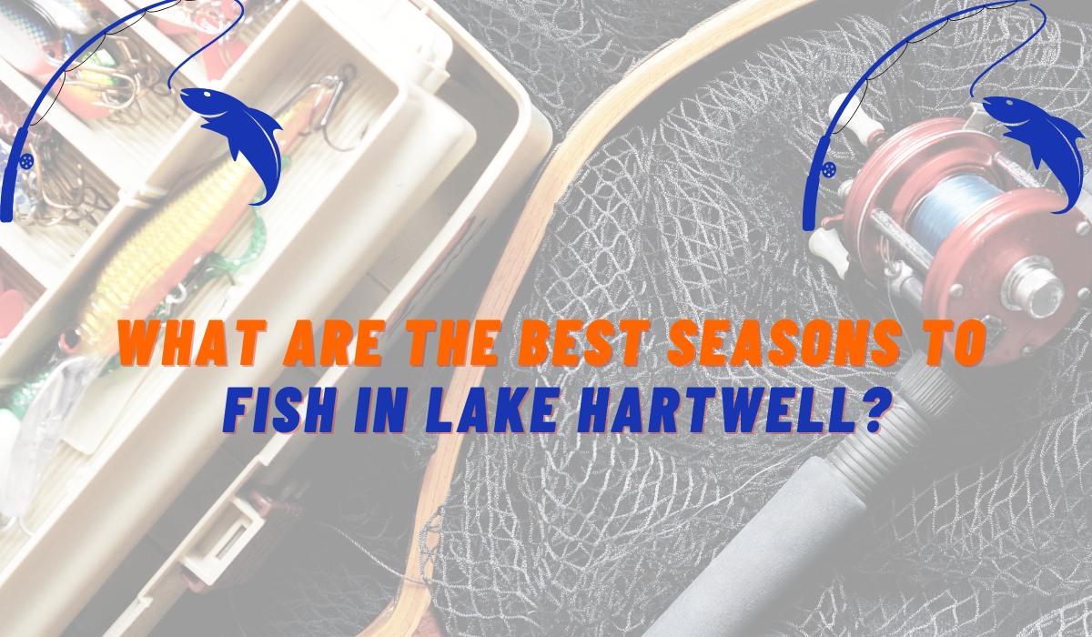 The Best Seasons to Fish in Lake Hartwell