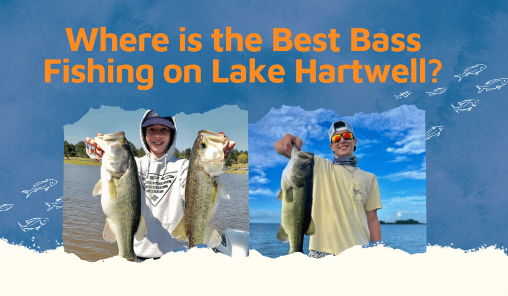 Bass Fishing on Lake Hartwell