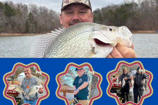 Lake Hartwell Crappie fishing