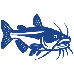 Channel Catfish