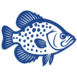 Crappie