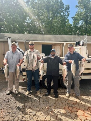 Lake Hartwell Striper fishing