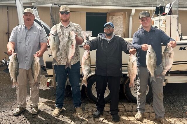 Lake Hartwell Striper fishing