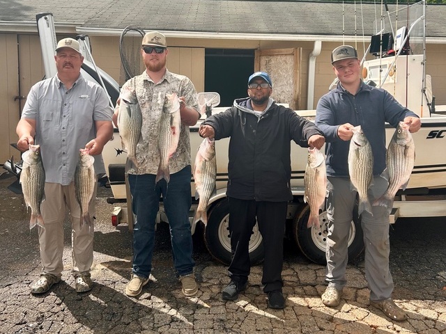 Lake Hartwell Striper fishing