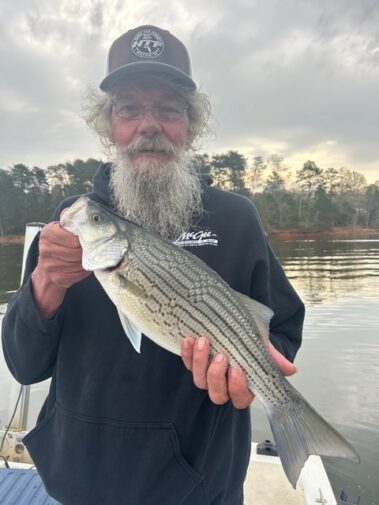 Lake Hartwell fishing