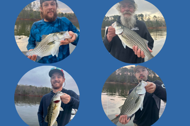 Lake Hartwell fishing