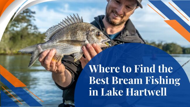 Find the Best Bream Fishing in Lake Hartwell