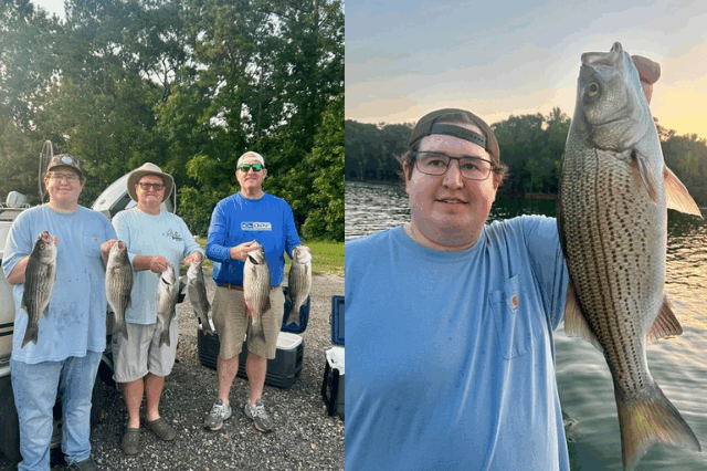 Lake Hartwell fishing