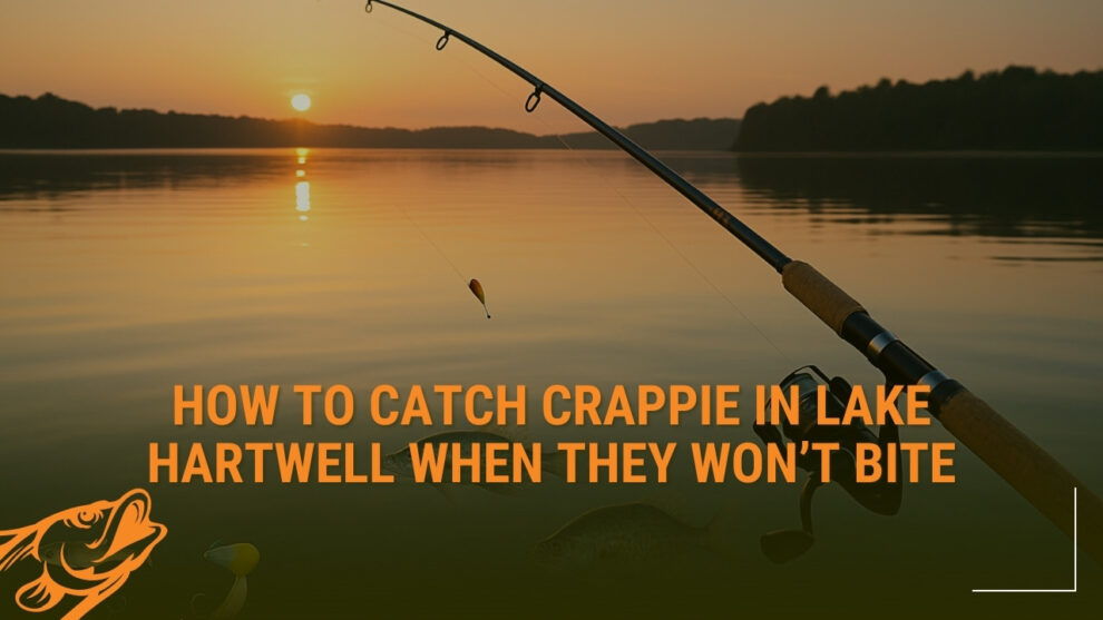 Catch Crappie in Lake Hartwell