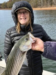 Lake Hartwell Fishing