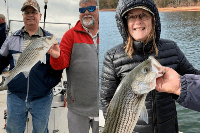 Lake Hartwell Fishing