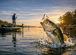Lake Hartwell Good for Largemouth Bass Fishing