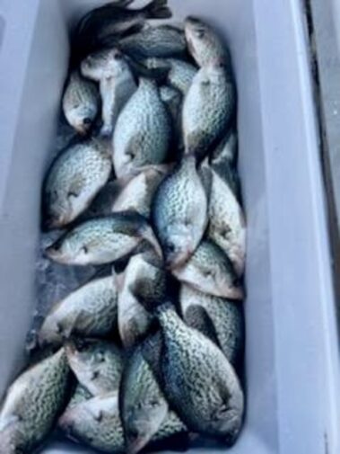 Lake Hartwell Crappie fishing