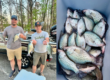 Lake Hartwell Crappie Fishing