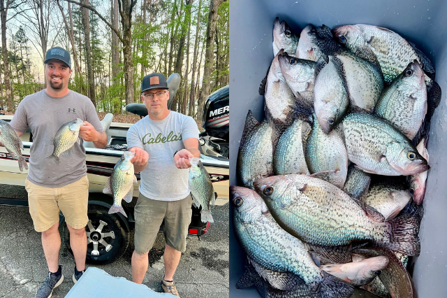 Lake Hartwell Crappie Fishing