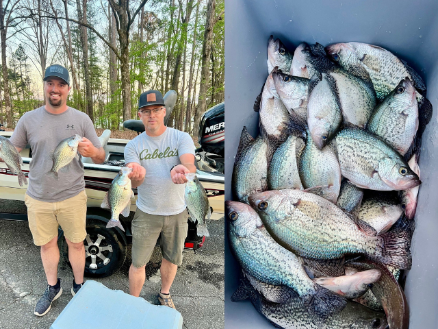 Lake Hartwell Crappie Fishing