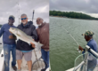 Lake Hartwell Fishing